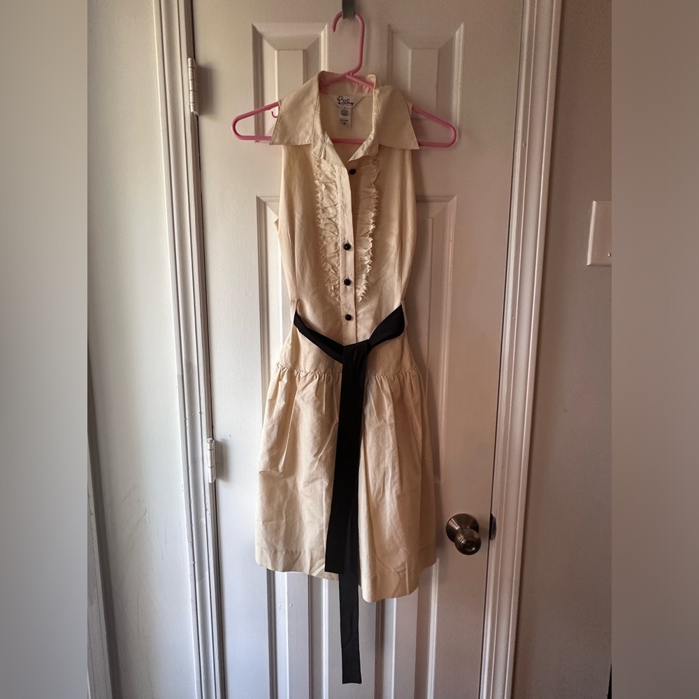 Silk Drop Waist Dress
